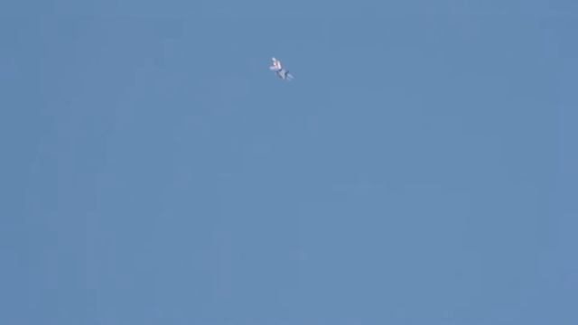 Витязи выступают в Кирове. Снято на #nikon. смотреть онлайн