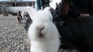 На пресс-туре в Минеральных водах побывали нижегородские журналисты