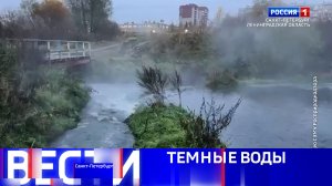 Вести Санкт-Петербург. Выпуск 11.30 от 24.11.2025