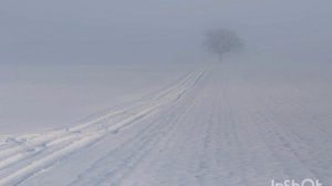 В поле метель