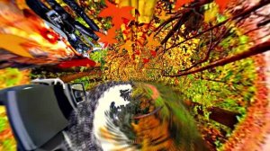 Осенние мотивы 5!!! Подруга осень!!!