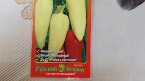 Перец «Снегопад F1» — ранний гибрид с уникальной сменой окраски