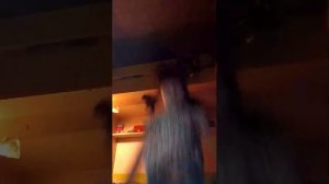 трансляция