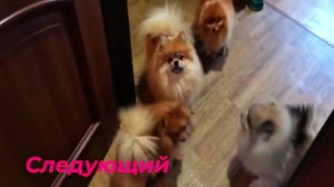 Банный день у нас сегодня...