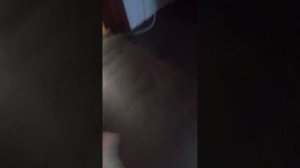 блог с Оливией