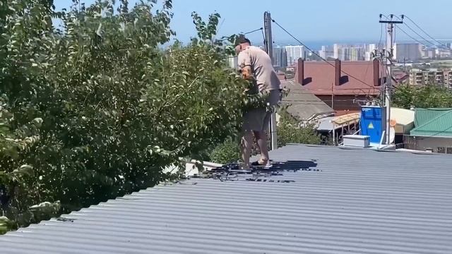 ВЛОГ Идем с Алисой в поликлинику ! 800 ступеней к морю ! Покупаем Алисе CROCS и новую кепку ! смотреть онлайн