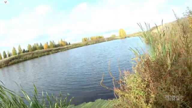 Осень. Ловля щуки на пруду. Джиг.