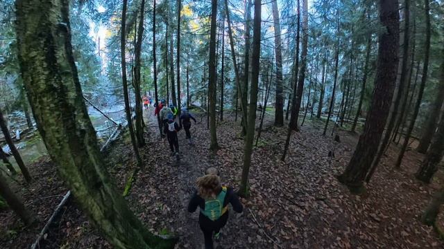 Марафон у дома. 23.11.2025 Химки. Часть 2.