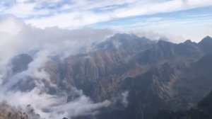 Альпинисты поднялись на высочайшую вершину Польши и обнаружили там одинокого кота