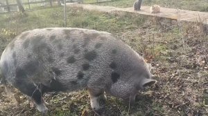 А вот и долгожданное солнышко! На улице сегодня настоящая весна ! Светлый лучик в нашем тёмном царст