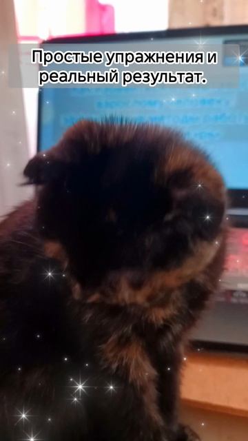 Исправляем картавость на звук Р без стресса! смотреть онлайн