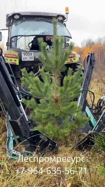 Пересадчик деревьев ПД-1000 Леспромресурс +7-964-635-56-71 смотреть онлайн