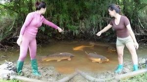 Две девушки спустили воду из пруда и поймали много рыбы. Хитрый способ рыбалки. Жизнь во Вьетнаме