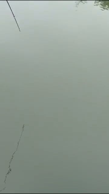 Это настоящий монстр!