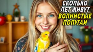 Сколько лет живут волнистые попугаи