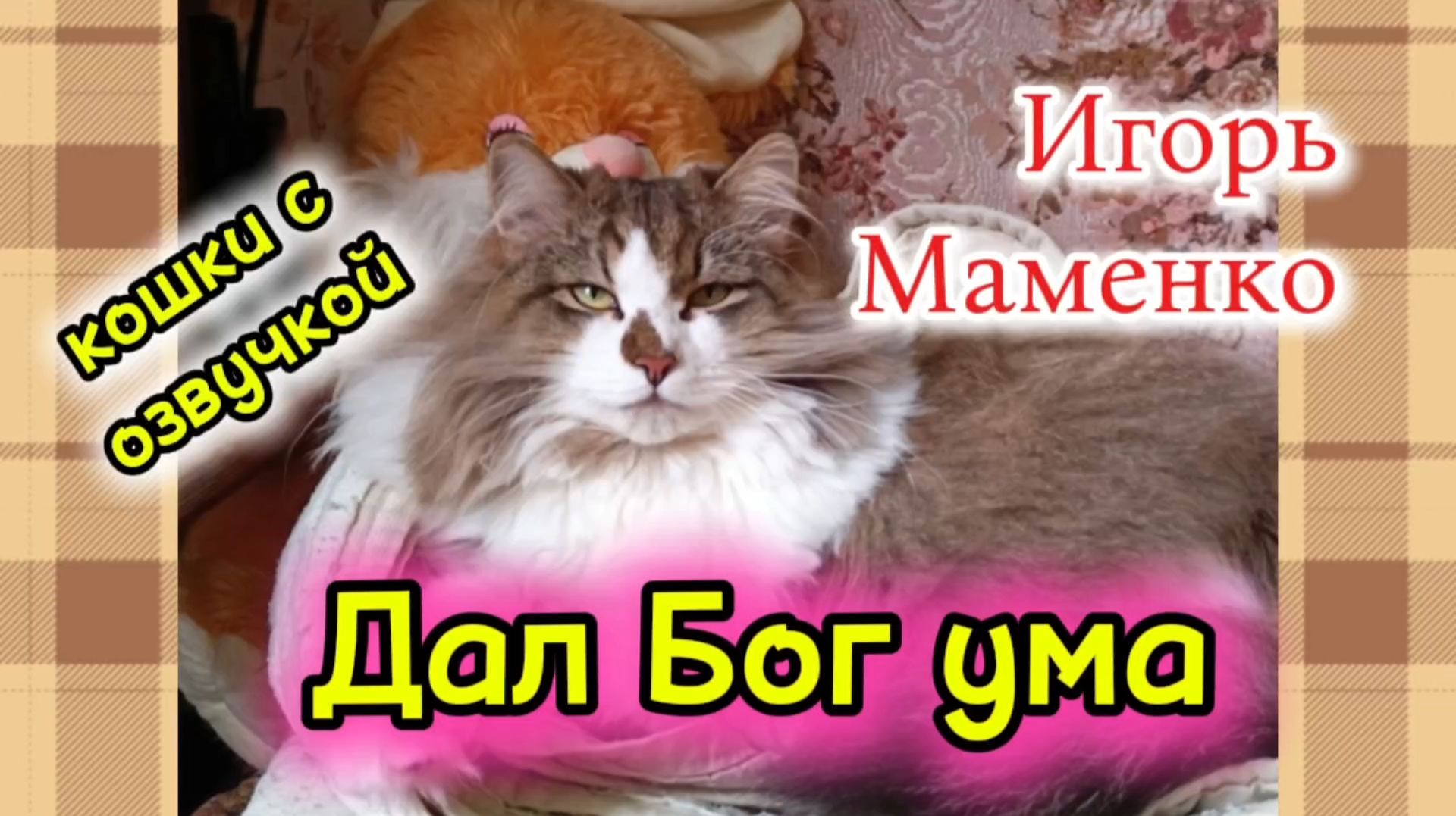 КОШКИ С ОЗВУЧКОЙ.