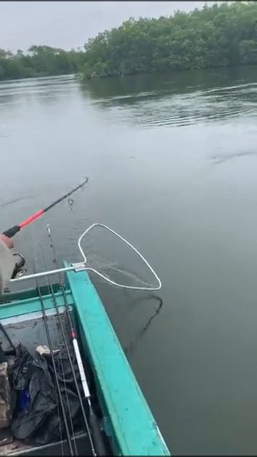 Кто сдастся первым