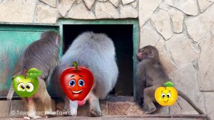 УЖИН ПОДВЕЗЛИ! Как Люся и Компания идут кушать? Кто первый? Вылетит ли кто из домика? Скандал будет?