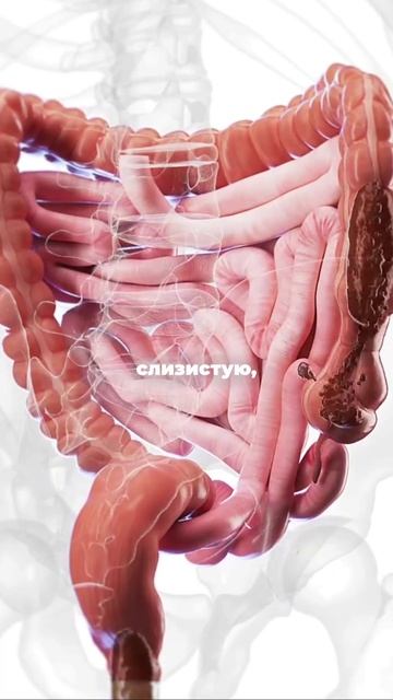 Новая рубрика 🔥  Разбираем вопросы с женского форума