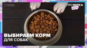 Как выбрать корм для собаки? | Проверка — Москва 24