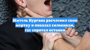 Житель Кургана расчленил свою жертву и показал силовикам, где спрятал останки