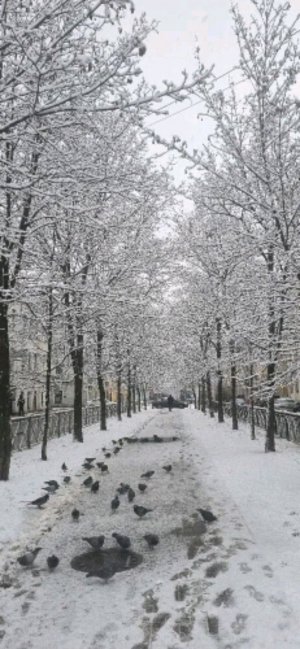 АСМР с игрушками