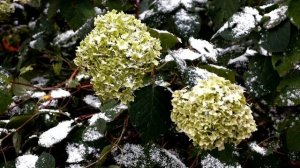 Слова силы на 25 ноября. Для каждого знака зодиака.