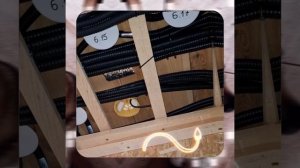 1000040918.mp4 (Собака смотрит на монтаж э/проводки (план. э/вентиляции в ванной) в доме А-фрейм)