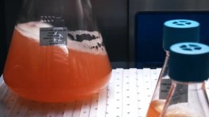 РОЛИК 6 (Фармасинтез Норд. Рус. Видео для экрана 1800х1000)