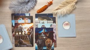 только познакомились! перспектива ? #таро