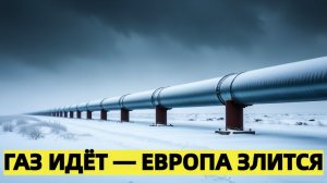 Германия возмущена казна Кремля пополняется, а российский газ всё ещё идёт в ЕС