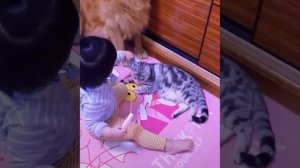 Видео от МЯУтаверс – как метавселенная, но с котами