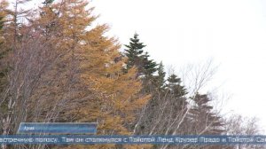 21.10.2025 ДТП в Корсаковском районе.Трое пострадавших