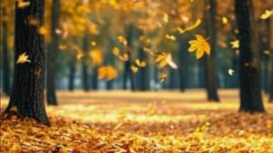 пожелания доброго дня | желаю радости жизни