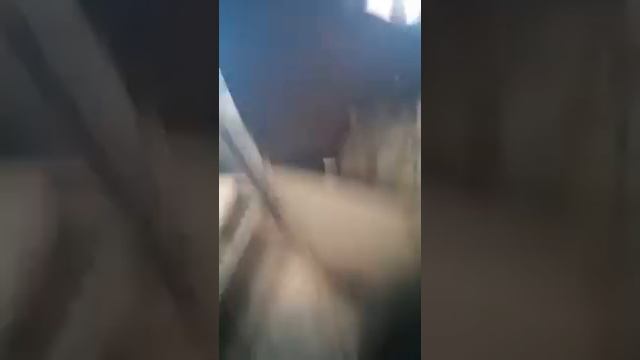 1_4981540946664492063