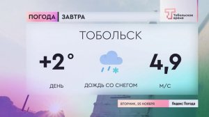 Прогноз погоды на 25 ноября