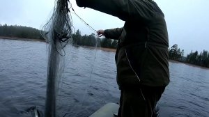 Это не диалоги о рыбалке!!!