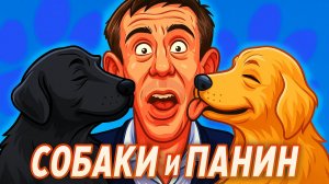 ДВЕ СОБАКИ НАПАЛИ НА  АЛЕКСЕЯ ПАНИНА