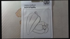 Перец «Богатырь» — надежный среднеспелый сорт с крупными, толстостенными плодами