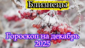 Близнецы! Гороскоп на декабрь 2025 года!