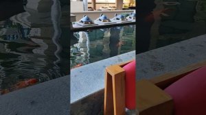 Паттайя Long beach Garden hotel...