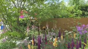 САДЫ БРИТАНИИ ПОЛНАЯ ЭКСКУРСИЯ ПО ВЫСТАВКЕ ЦВЕТОВ В ЧЕЛСИ 2025!