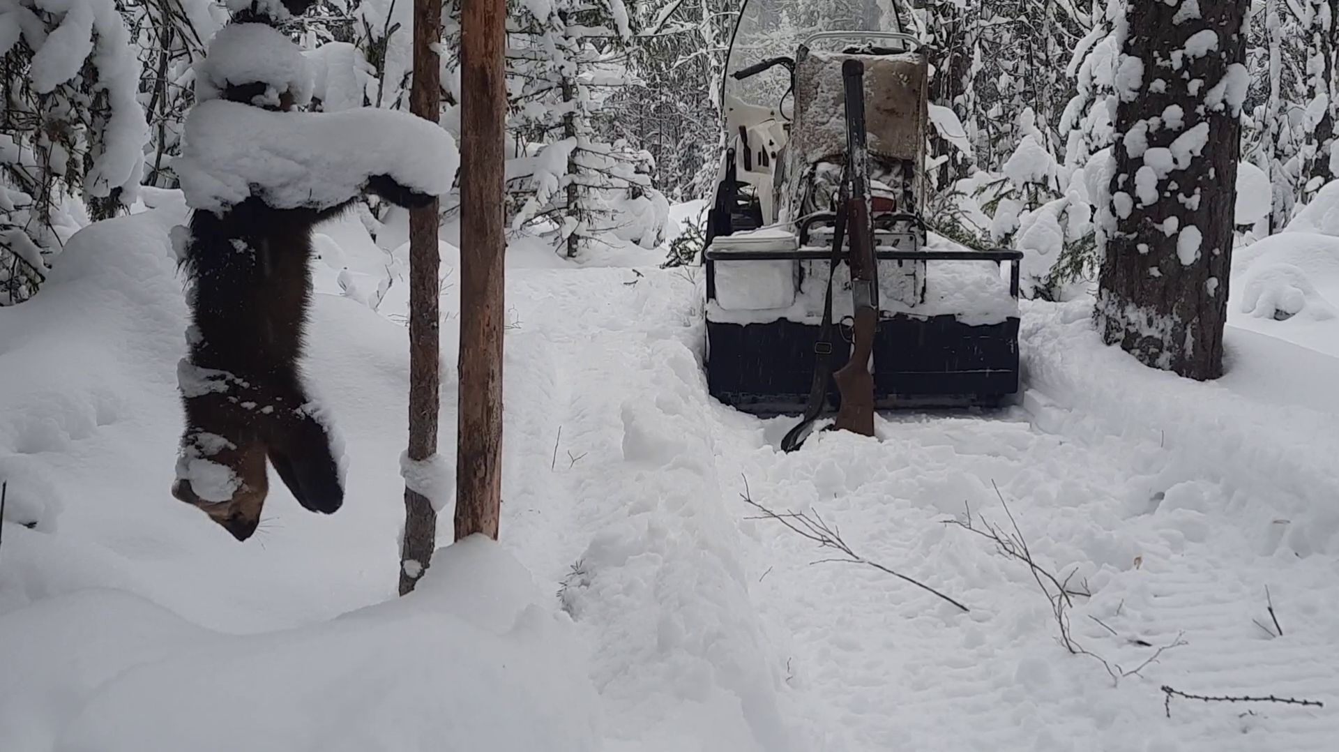 СЕГОДНЯ МНОГО БЕЛОК. смотреть онлайн