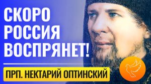 "Через годы испытаний Россия воспрянет и будет богата... Духом!" - старец Нектарий о будущем