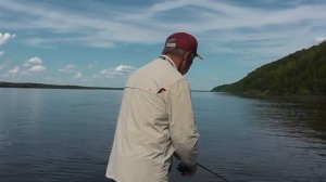 Судак на диповый кренк.