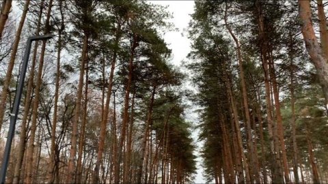 Мемориал ПаркПобеды Липецк