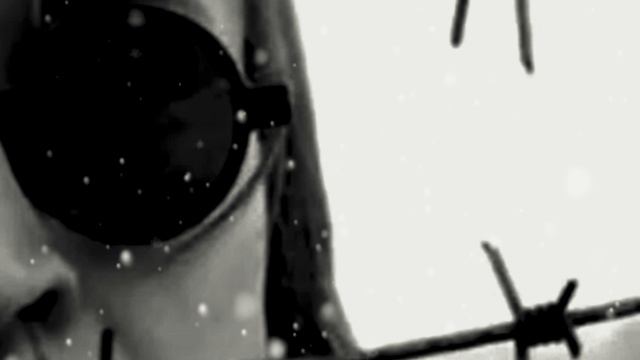 Гражданская Оборона - Харакири 2025