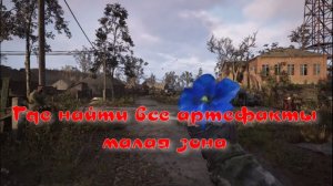 сталкер 2  где найти все артефакты залесье малая зона