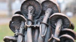 Mushrooms on your table 5