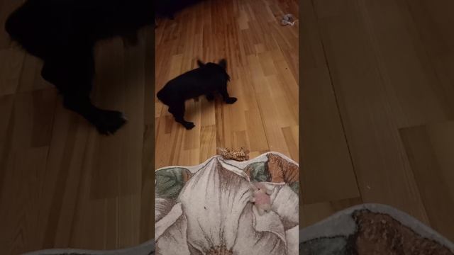 Варвара Фёдоровна💖